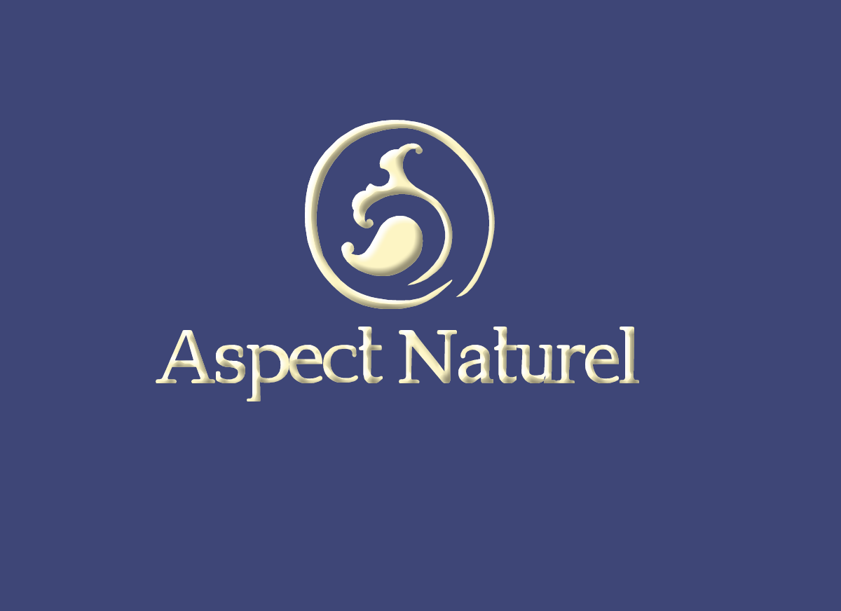 Logo Design by dwi purnomo for this project | Design #4707255