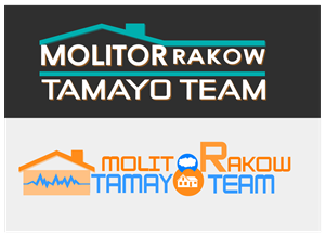 Logo Design by Stark Suite
