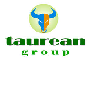 Logo Design by vid