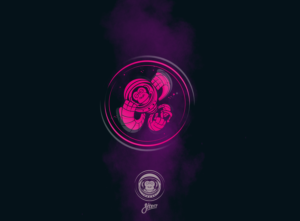 Stizer | Logo-Design von vrgraphicart