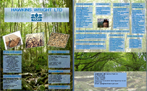 Brochure Design by Caterine