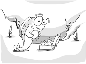 Illustration Design by Hafiz Hanif