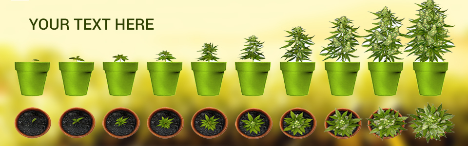 Banner Ad Design by NexQuix for this project | Design #4899024