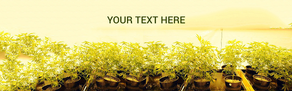 Banner Ad Design by NexQuix for this project | Design #4899029