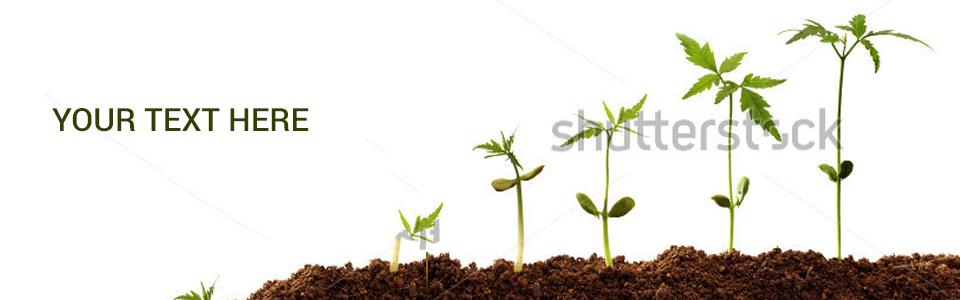 Banner Ad Design by NexQuix for this project | Design #4899038