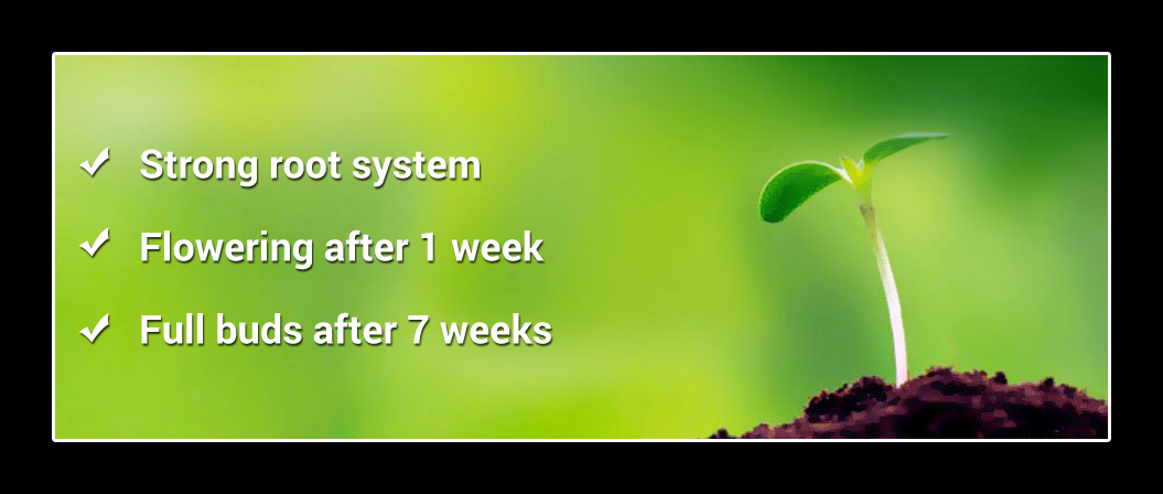 Banner Ad Design by Best Design Hub for this project | Design #4863141