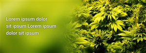 Diseño De Banner Publicitario por Best Design Hub para este proyecto | Diseño: #4895098