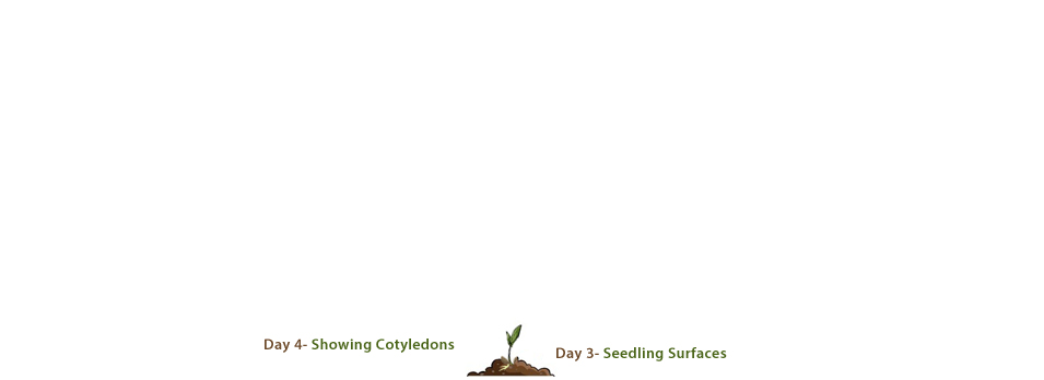Banner Ad Design by J. Chaturvedi for this project | Design #4786903