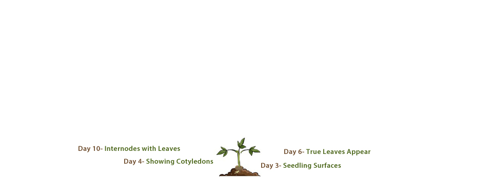 Banner Ad Design by J. Chaturvedi for this project | Design #4786909