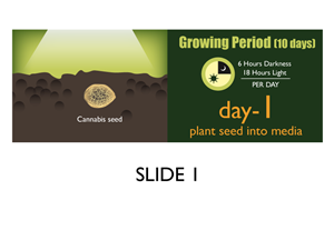Banner-Design von Jozbel für dieses Projekt | Design: #4834181