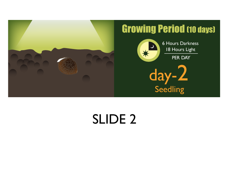 Banner-Design von Jozbel für dieses Projekt | Design #4834255