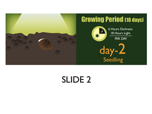 Banner-Design von Jozbel für dieses Projekt | Design: #4834255