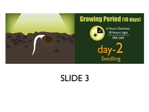 Banner-Design von Jozbel für dieses Projekt | Design: #4834292