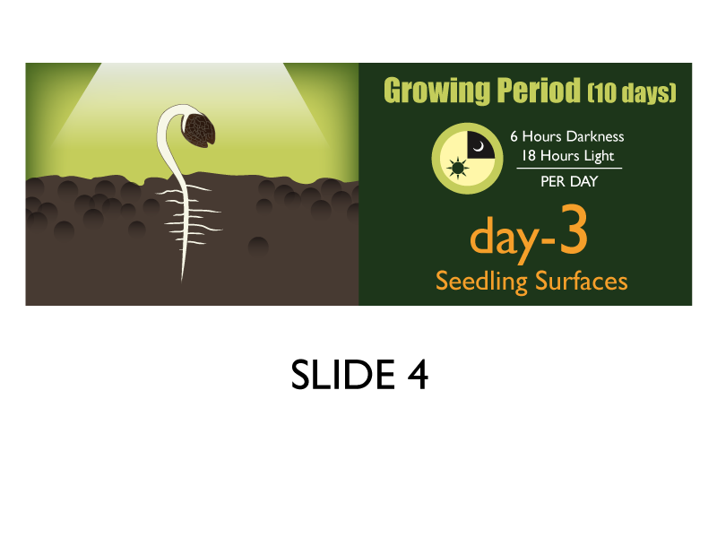 Banner Ad Design by Jozbel for this project | Design #4834357