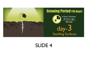 Banner-Design von Jozbel für dieses Projekt | Design: #4835753