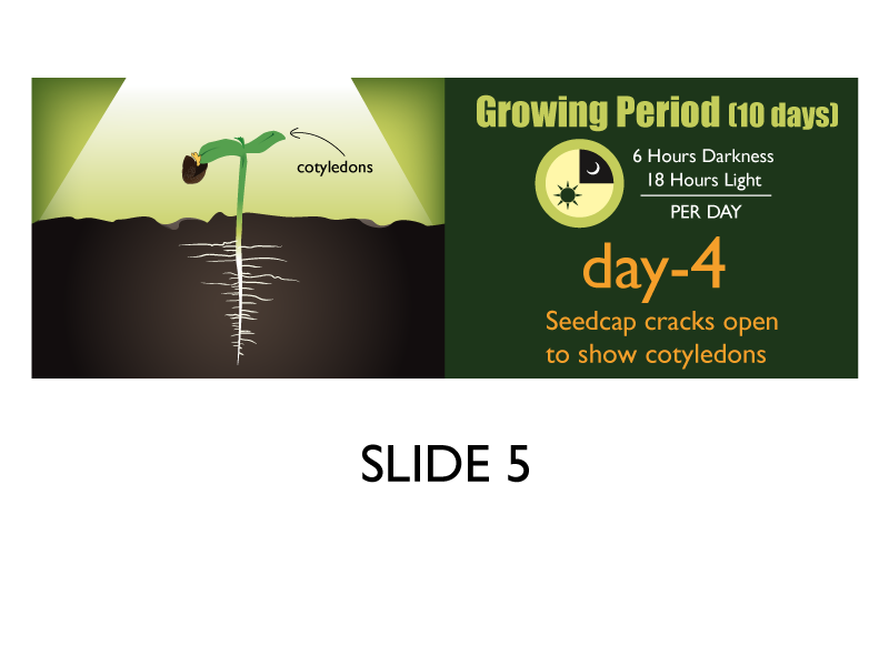 Banner Ad Design by Jozbel for this project | Design #4836156