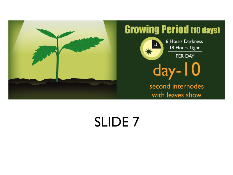 Banner Ad Design by Jozbel for this project | Design #4836454