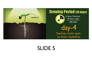 Banner-Design von Jozbel für dieses Projekt | Design: #4838478