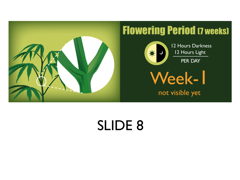Banner Ad Design by Jozbel for this project | Design #4839321