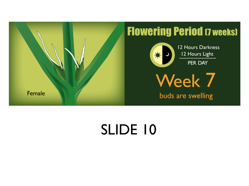 Banner Ad Design by Jozbel for this project | Design #4840155
