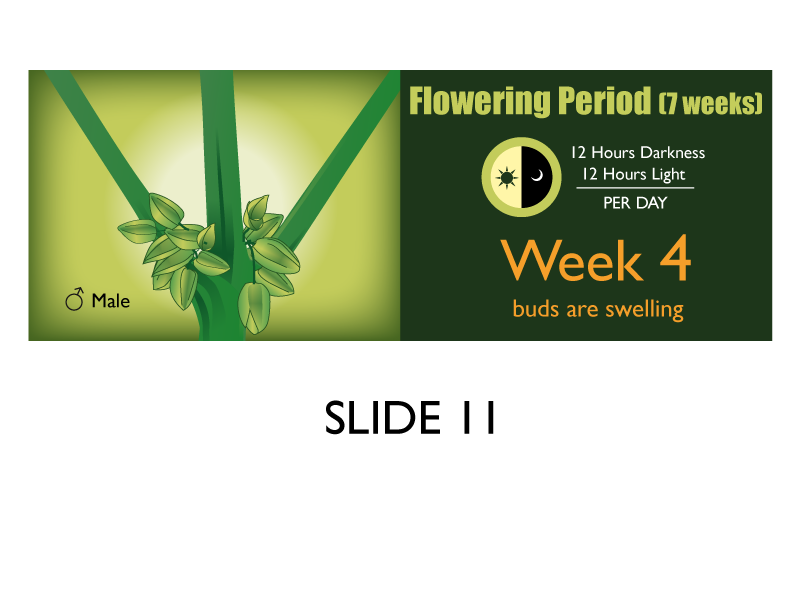 Banner Ad Design by Jozbel for this project | Design #4841419