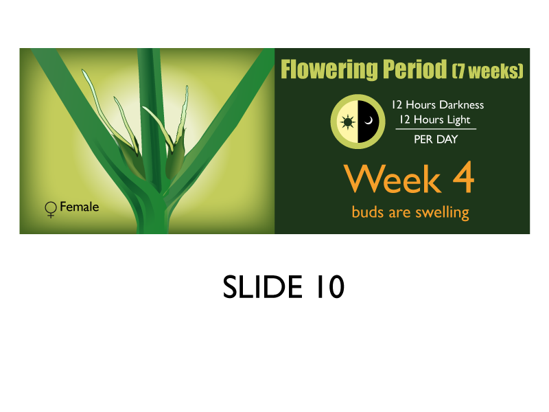Banner Ad Design by Jozbel for this project | Design #4841450