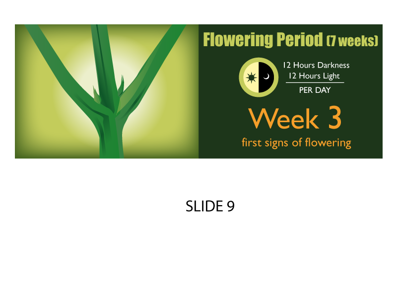 Banner Ad Design by Jozbel for this project | Design #4841596
