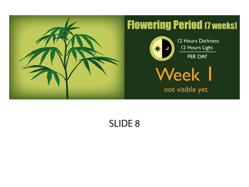 Banner Ad Design by Jozbel for this project | Design #4841677