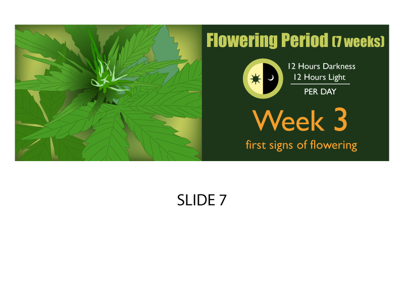 Banner Ad Design by Jozbel for this project | Design #4844948