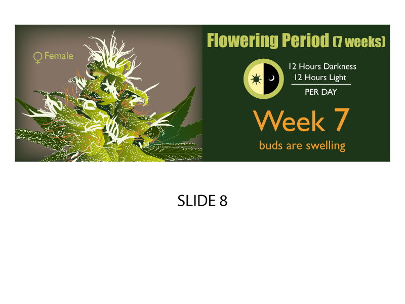 Banner Ad Design by Jozbel for this project | Design #4846321