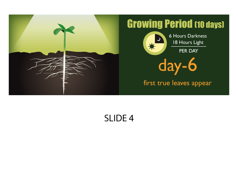 Banner Ad Design by Jozbel for this project | Design #4846697