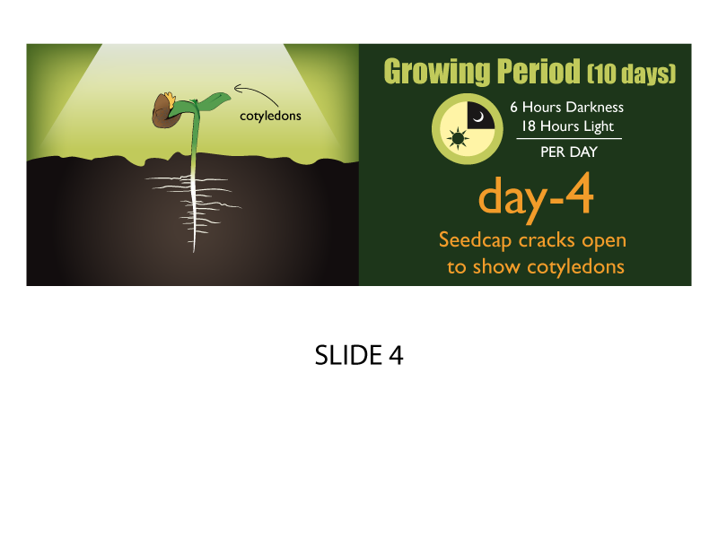 Banner-Design von Jozbel für dieses Projekt | Design #4846780