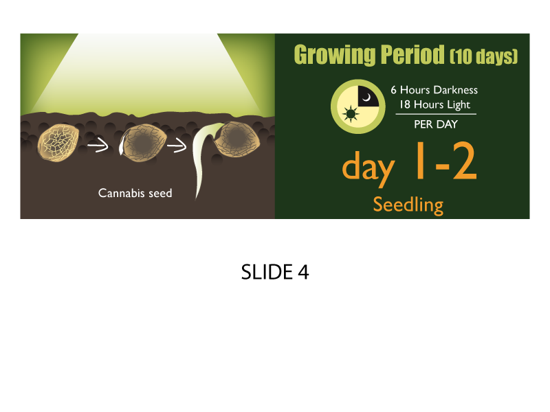 Banner Ad Design by Jozbel for this project | Design #4846924