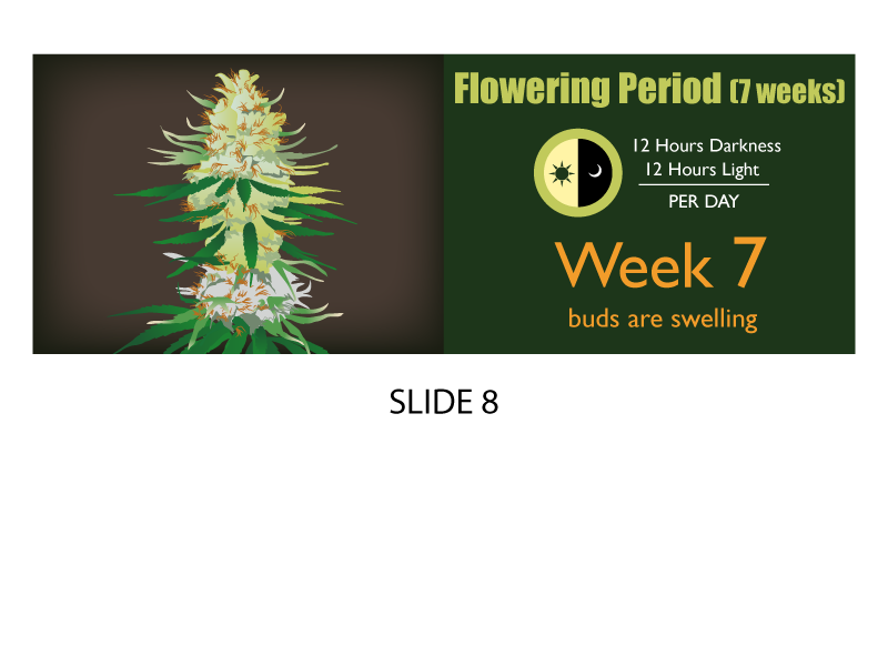 Banner Ad Design by Jozbel for this project | Design #4850077