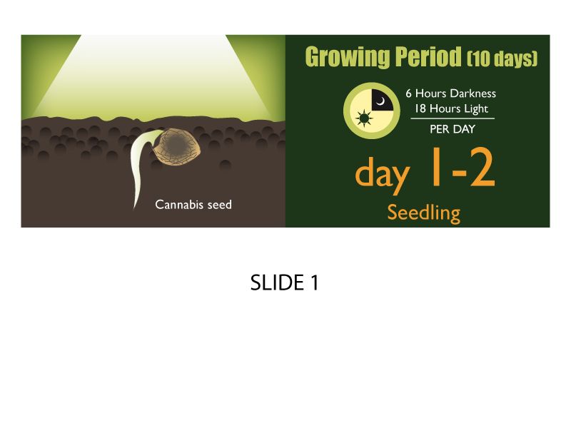 Banner Ad Design by Jozbel for this project | Design #4850104