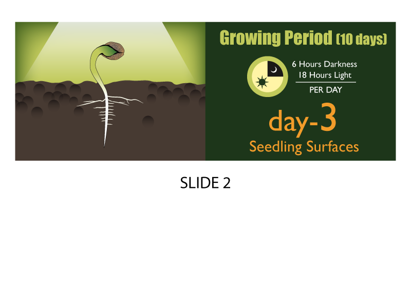 Banner Ad Design by Jozbel for this project | Design #4855158