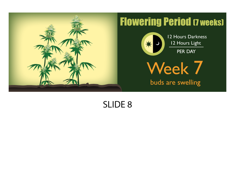 Banner Ad Design by Jozbel for this project | Design #4855161