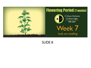 Banner-Design von Jozbel für dieses Projekt | Design: #4859081