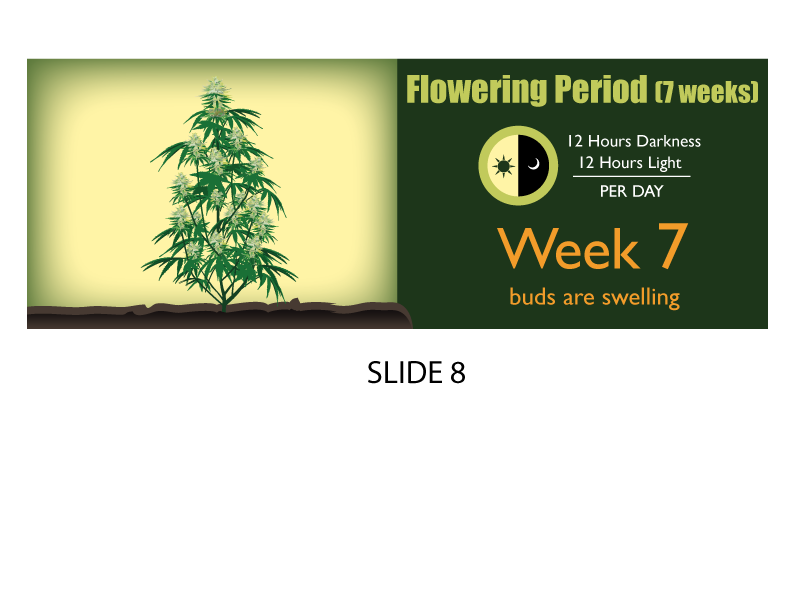 Banner-Design von Jozbel für dieses Projekt | Design #4859326