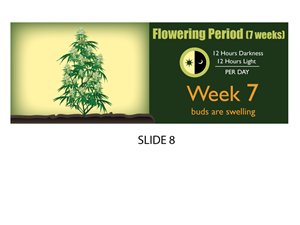 Banner-Design von Jozbel für dieses Projekt | Design: #4859349
