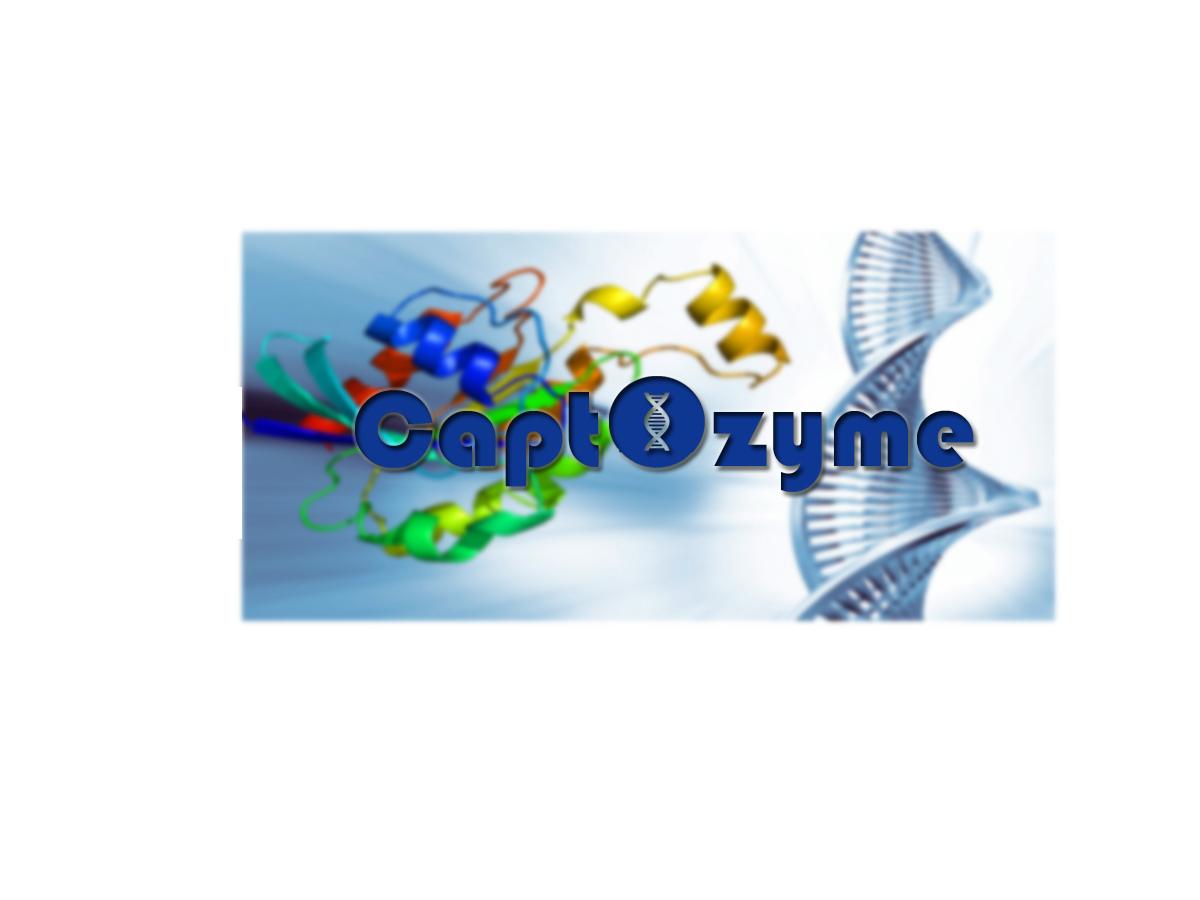 Logo Design by suchitra for this project | Design #4727831