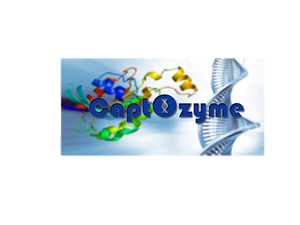 Logo Design by suchitra for this project | Design: #4727831