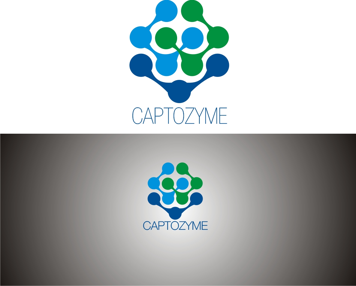 Logo Design by ArifRif for this project | Design #4855209