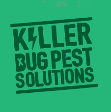 Logo Design by Kim.J for this project | Design #4725998