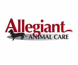 Logo Design by Hot Rod