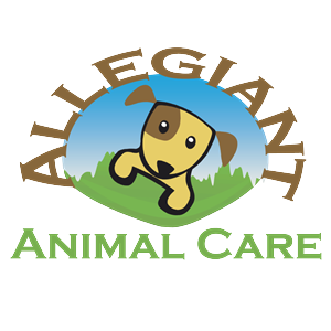 Logo Design by yunuskaradeniz87