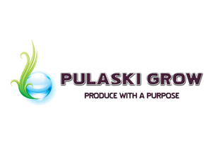 Logo Design by stwebre1a