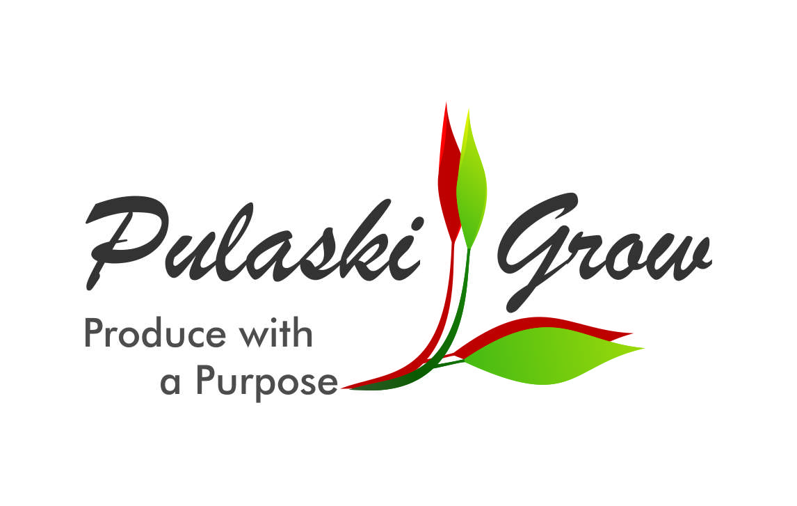 Logo Design by Ariqflick for this project | Design #4785784