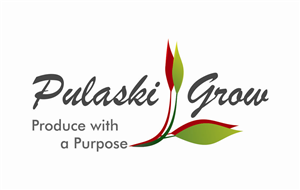 Logo Design by Ariqflick