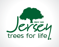 Logo Design by miartistagrafico for Central Marketing | Design: #4730924